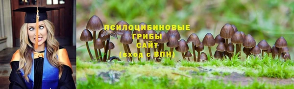 эйфоретик Новокубанск