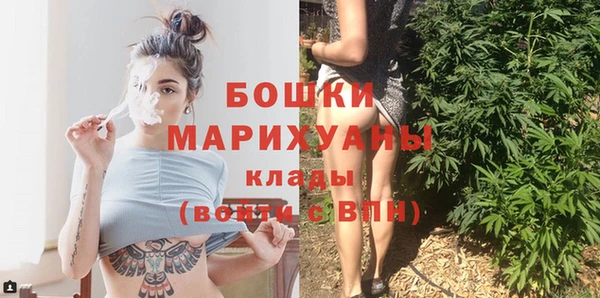 МДПВ Новозыбков