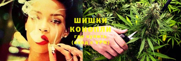 МДПВ Новозыбков