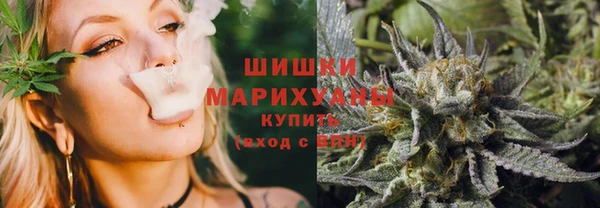 МДПВ Новозыбков
