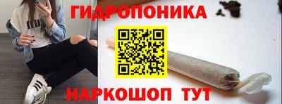 a pvp Гусь-Хрустальный