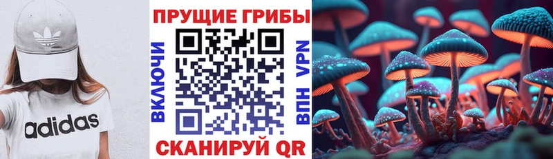 Галлюциногенные грибы Magic Shrooms  Магнитогорск 