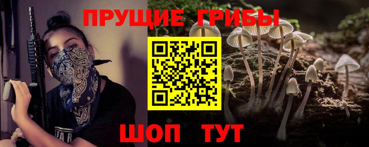 Галлюциногенные грибы Psilocybe  Вход с VPN  Магнитогорск 